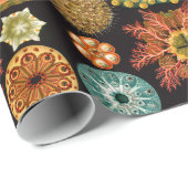 Wrapping Paper vom Sea Squirt Square Geschenkpapier (Rolleneckpunkt)