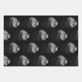 Wrapping Paper von African Lion Geschenkpapier Set (Vorderseite 3)