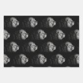 Wrapping Paper von African Lion Geschenkpapier Set (Vorderseite)