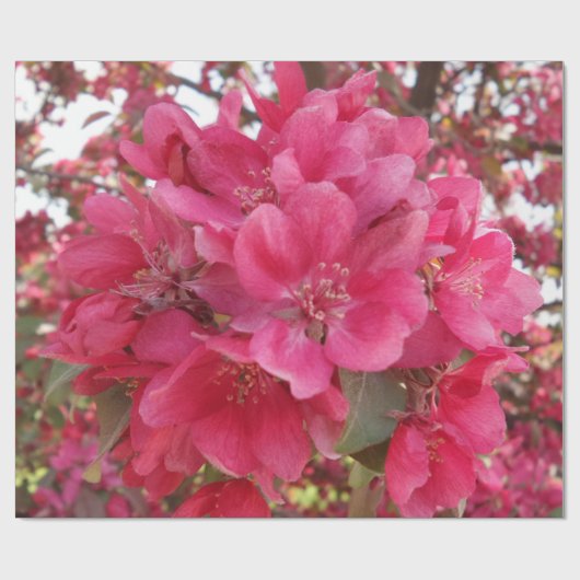 Wrapping Paper zur Frühjahrszeit der Blume Geschenkpapier (Flach)