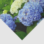 WRAPPING PAPIER (Ausschnitt)