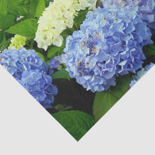 WRAPPING PAPIER (Ausschnitt)