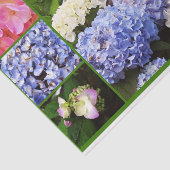 WRAPPING-PAPIER FÜR Hydrangea-Blume Seidenpapier (Ausschnitt)