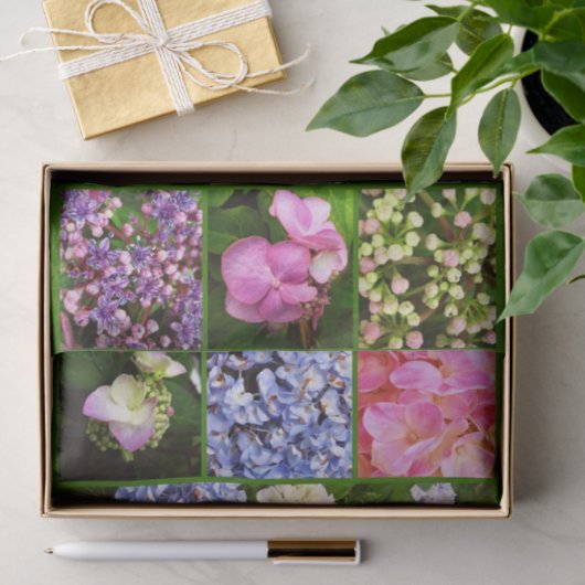 WRAPPING-PAPIER FÜR Hydrangea-Blume Seidenpapier (Geschenk)