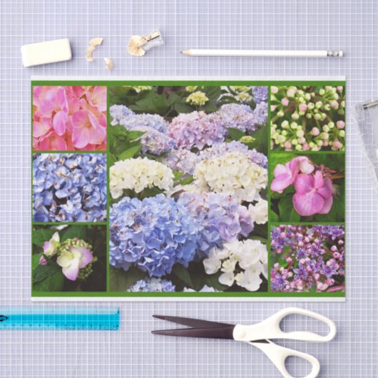 WRAPPING-PAPIER FÜR Hydrangea-Blume Seidenpapier (Handwerk)