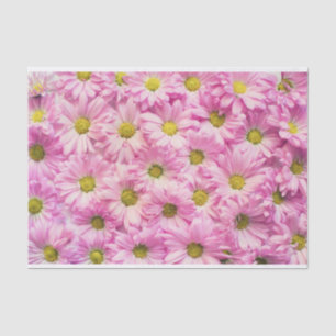 Wrapping Tissue - Pink Gerbera Daisies Seidenpapier