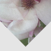Wrapping Tissue - Saucer Magnolia Bloom Seidenpapier (Ausschnitt)