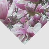 Wrapping Tissue - Saucer Magnolia Seidenpapier (Ausschnitt)