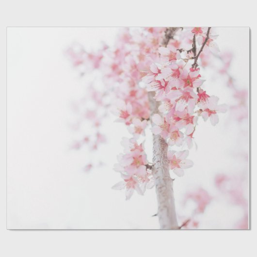 WRAPPPAPIER: CHERRY BLOSSOMS GESCHENKPAPIER (Flach)