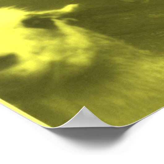 Wrecked 'Um 4 Color Llama Poster (Ecke)