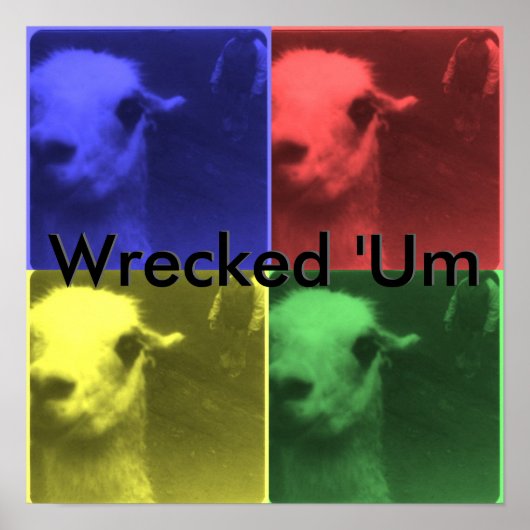 Wrecked 'Um 4 Color Llama Poster (Vorne)