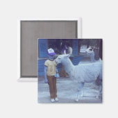 Wrecked 'Um Biting Llama "Hues" Magnet (Vorderseite/Rückseite)