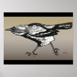 Wren auf dem Laufenden Poster