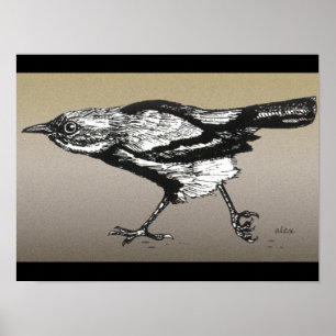 Wren auf dem Laufenden Poster