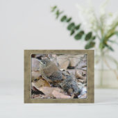 Wren Baby Bird Postcard Postkarte (Stehend Vorderseite)