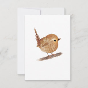 Wren Bird Blank Notecards Dankeskarte