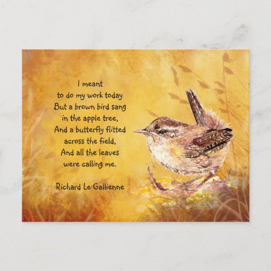 Wren Bird for Bird Lovers Postkarte (Vorderseite)