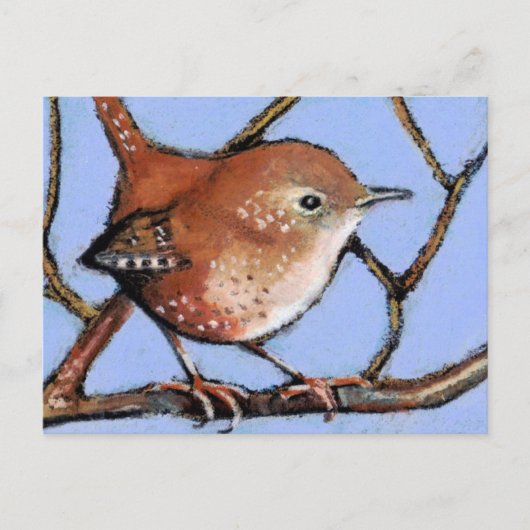 WREN, BIRD, in Ölpastel Postkarte (Vorderseite)