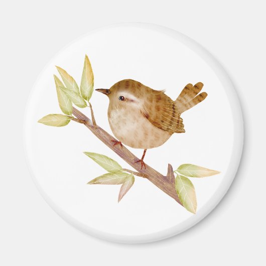 Wren Bird Magnets Magnet (Vorne)