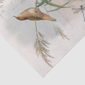Wren Bird Nest Dragonfly Französisch Postmark Deco Seidenpapier (Ausschnitt)