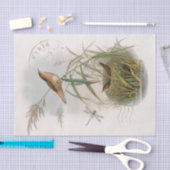 Wren Bird Nest Dragonfly Französisch Postmark Deco Seidenpapier (Handwerk)