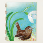 Wren Bird singt in der Morgendämmerung im Frühling Planer (Vorderseite)