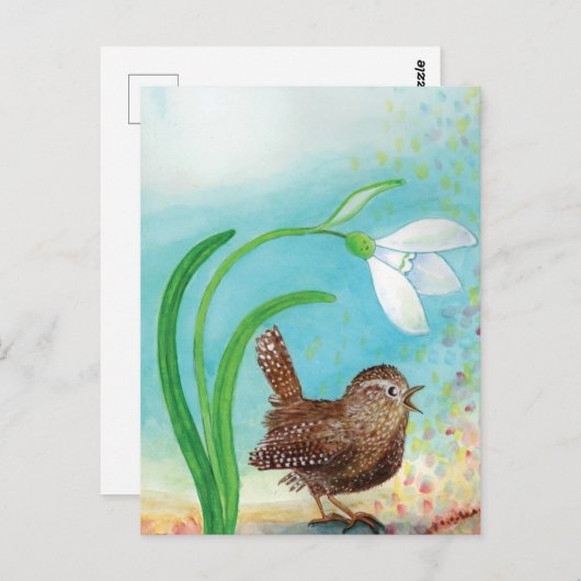 Wren Bird singt in der Morgendämmerung im Frühling Postkarte (Vorne/Hinten)