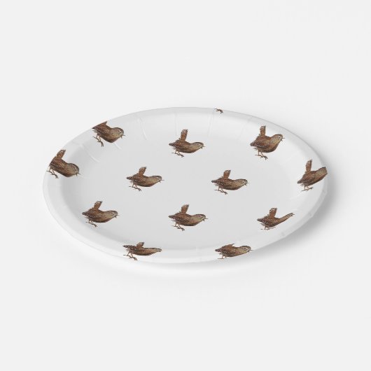 Wren Bird singt laut und schön Pappteller (Schrägansicht)