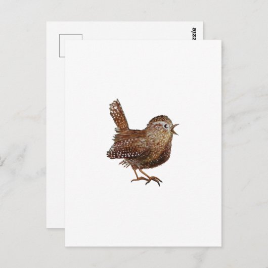 Wren Bird singt laut und schön Postkarte (Vorne/Hinten)
