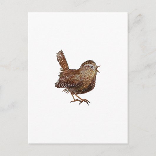 Wren Bird singt laut und schön Postkarte (Vorderseite)