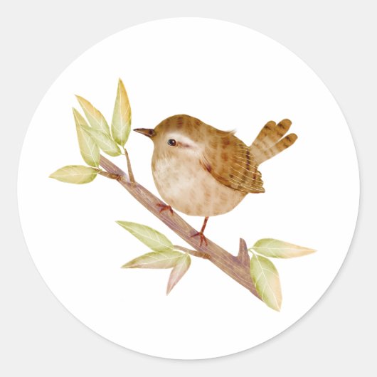 Wren Bird Stickers (Vorderseite)