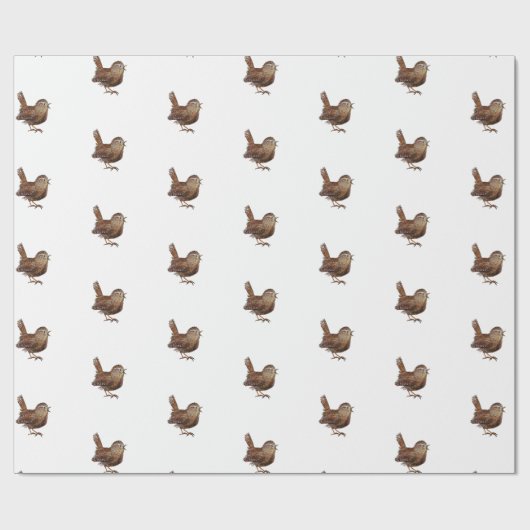 Wren Bird (Troglodytes Troglodytes) Geschenkpapier (Flach)