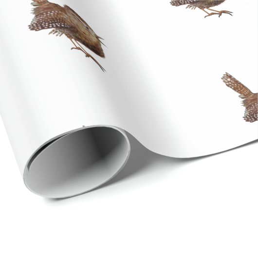 Wren Bird (Troglodytes Troglodytes) Geschenkpapier (Rolleneckpunkt)
