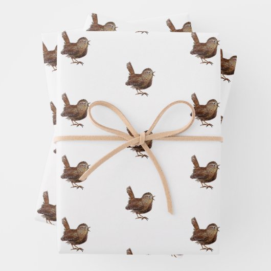 Wren Bird (Troglodytes Troglodytes) Geschenkpapier Set (Beispiel)