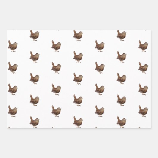 Wren Bird (Troglodytes Troglodytes) Geschenkpapier Set (Vorderseite)