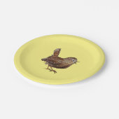 Wren Bird (Troglodytes troglodytes) Pappteller (Schrägansicht)