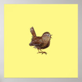 Wren Bird (Troglodytes Troglodytes) Poster (Vorne)