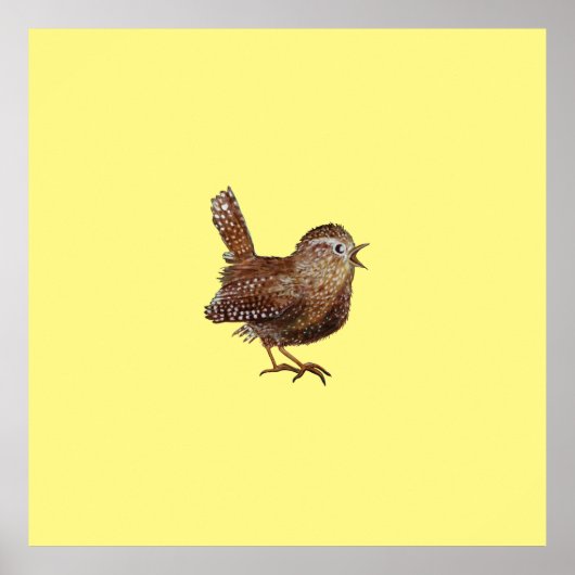 Wren Bird (Troglodytes Troglodytes) Poster (Vorne)