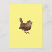 Wren Bird (Troglodytes Troglodytes) Postkarte (Vorderseite)