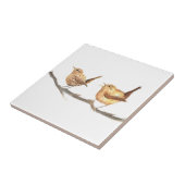 Wren Bird Wildlife Fliese (Seite)