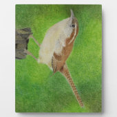 Wren Fotoplatte (Vorderseite)