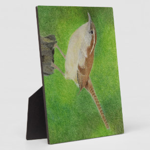 Wren Fotoplatte