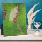 Wren Fotoplatte (Seite)