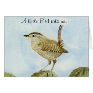 Wren Herzlichen Glückwunsch