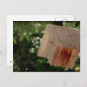 Wren House Postkarte (Vorne/Hinten)