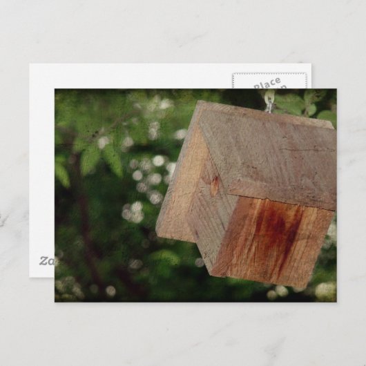 Wren House Postkarte (Vorne/Hinten)