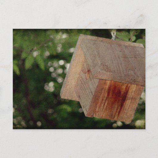 Wren House Postkarte (Vorderseite)