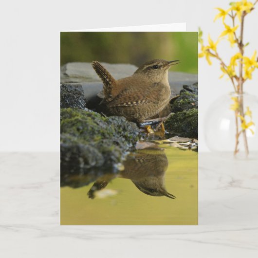 Wren Karte (Gelbe Blume)