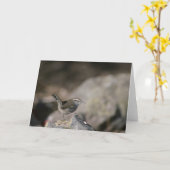 Wren Karte (Gelbe Blume)