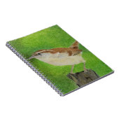 Wren Notizblock (Rechte Seite)